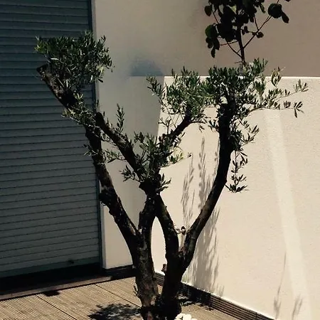The Olive Tree Holiday * Olhão